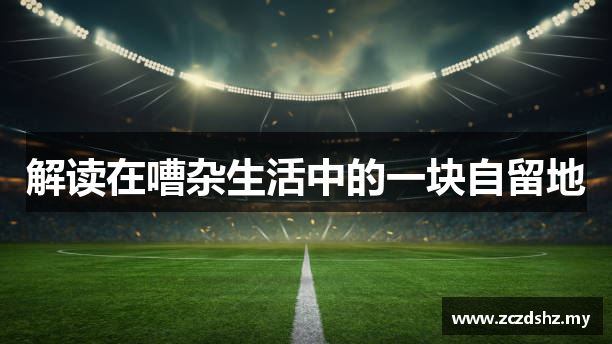 解读在嘈杂生活中的一块自留地